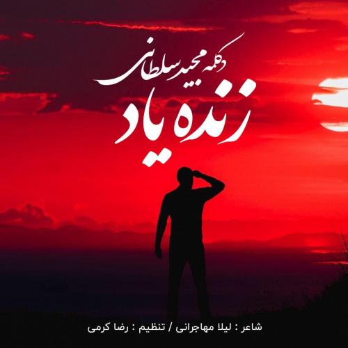 مجید سلطانی زنده یاد